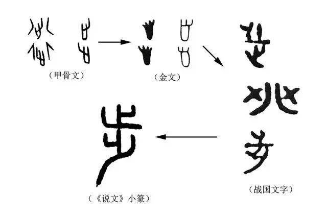 说文解字形声字占比,汉字中的形声字占多少,说文解字你_大山谷图库