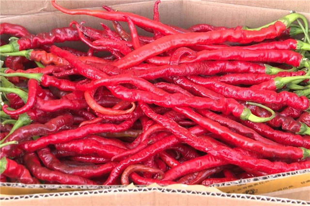 高台这些特产要上央视啦!_手机搜狐网