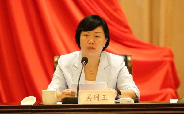 江苏省最年轻的区县主官,射阳县女县长吴冈玉申报公职律师