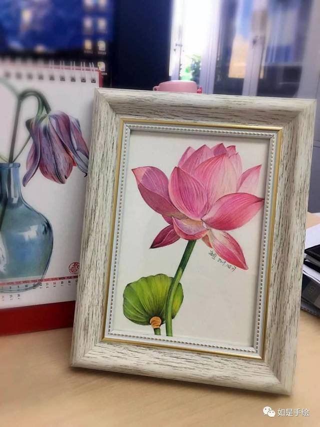 楚如画 荷花圖 风水画PT00027 : 彩色荷花