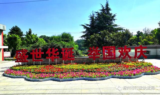 南门入口花坛主景尺寸长9米,宽4米,共计摆放草花10000盆.