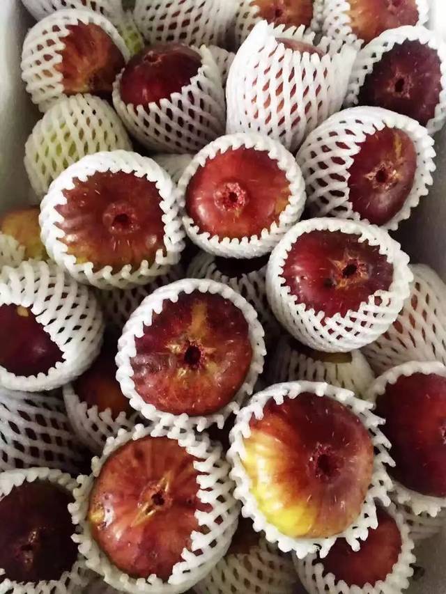 诸暨这种水果刷屏了!现在采摘正当时