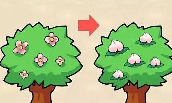 上期答案: 遍地开花