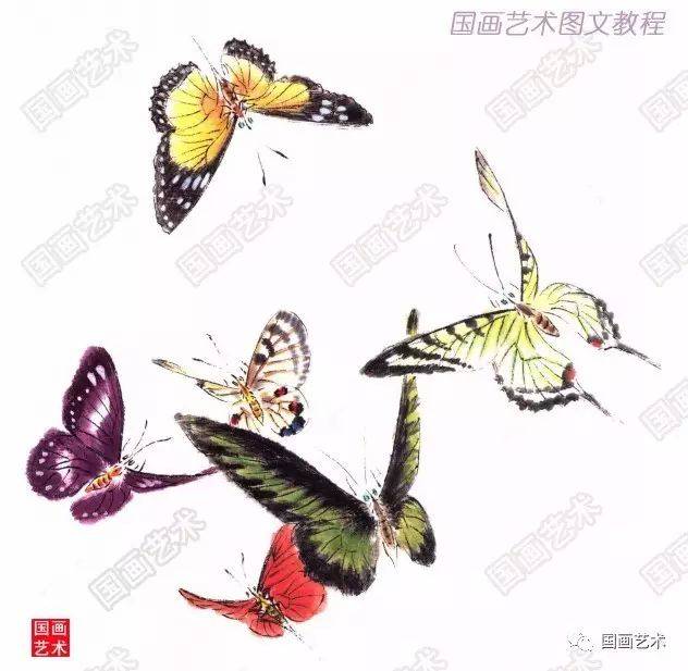 图文教程：工笔蝴蝶画法_搜狐网