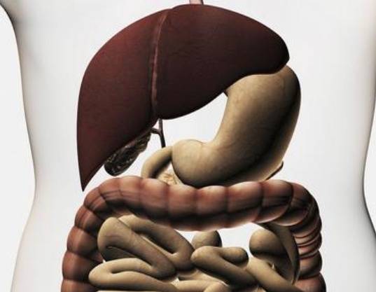 叶天士认为肝和胃在生理上是相互影响常出现肝胃不和