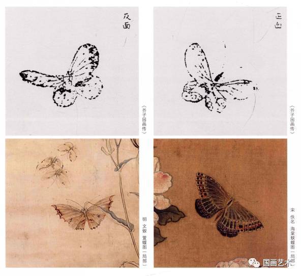 图文教程：工笔蝴蝶画法_搜狐网