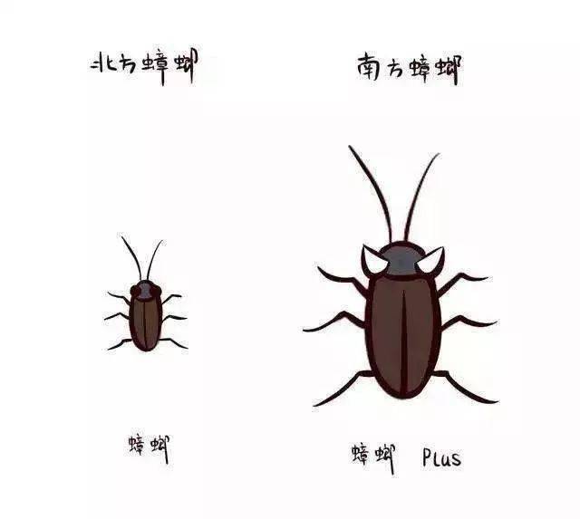 "你给我放下!我数仨数"北方妈妈竟是这样带娃的