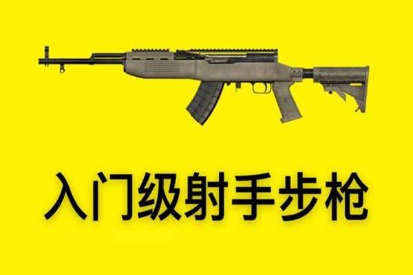 sks45狙击步枪图片