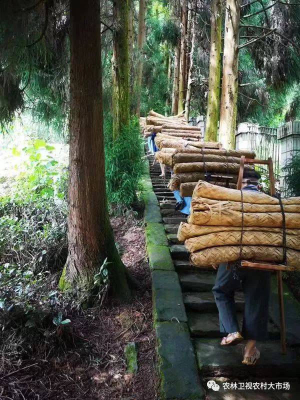 农林卫视农村大市场图片