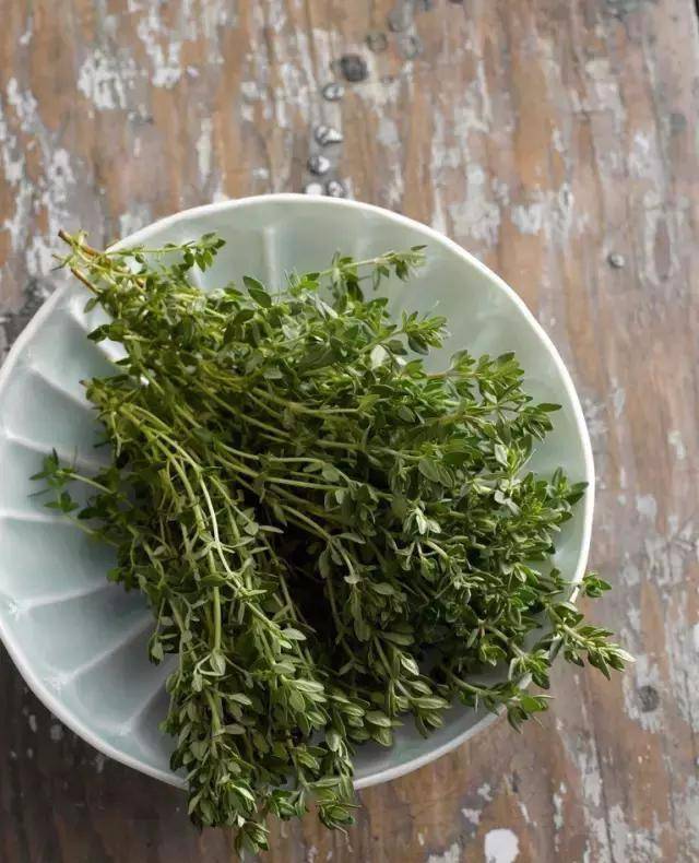 百里香(thyme)