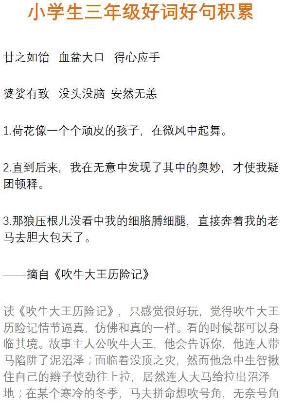 小学语文三年级课外阅读好词好句积累摘抄,孩子必看!