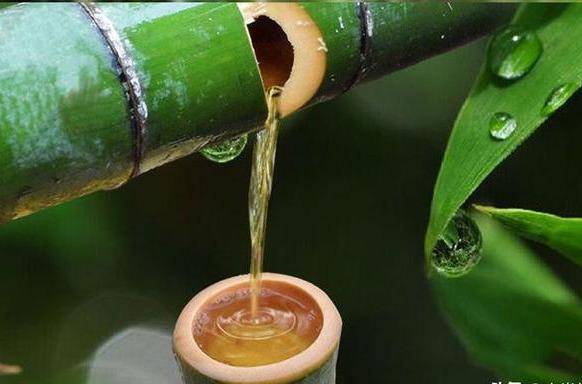 竹子里面的这种液体含有10多种氨基酸火烤才会出来不是竹酒