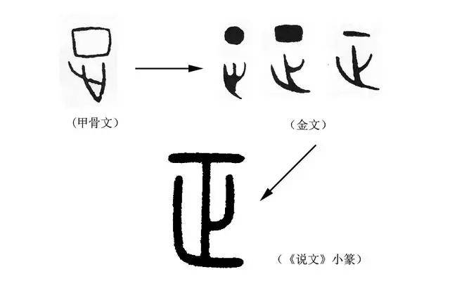 说文解字》第223课：细说“正”字_本义