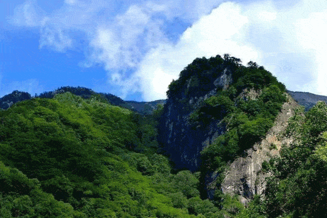 国庆期间,这些特色活动助你畅玩西安!