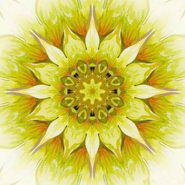 全息能量财富曼陀罗拿回属于你自己的宝藏