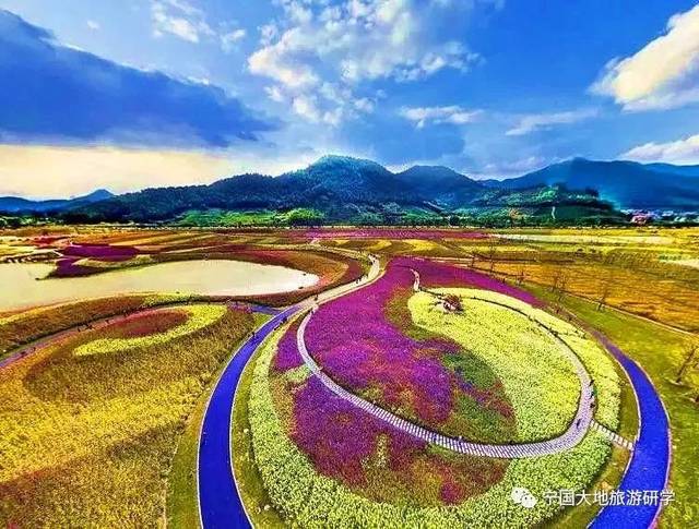 千畝花海全面盛開,10月12/13日,杭州餘杭徑山花海,塘棲古鎮一日遊