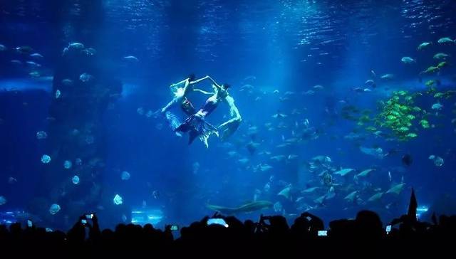 被漳州这个海洋世界震撼到了!