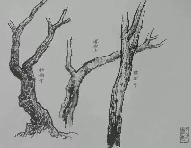 树枝素描图,树枝素描_大山谷图库