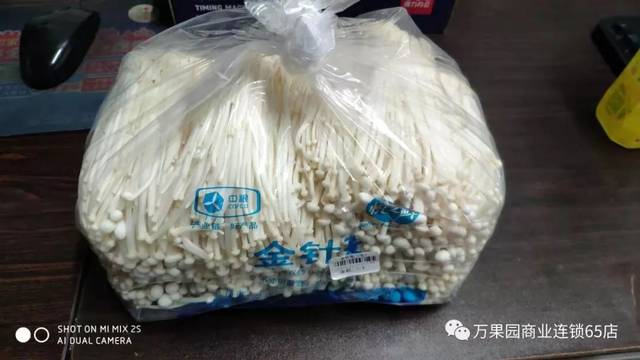 袋装金针菇(4斤装)