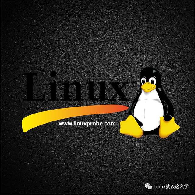 教你如何在linux中使用apt命令