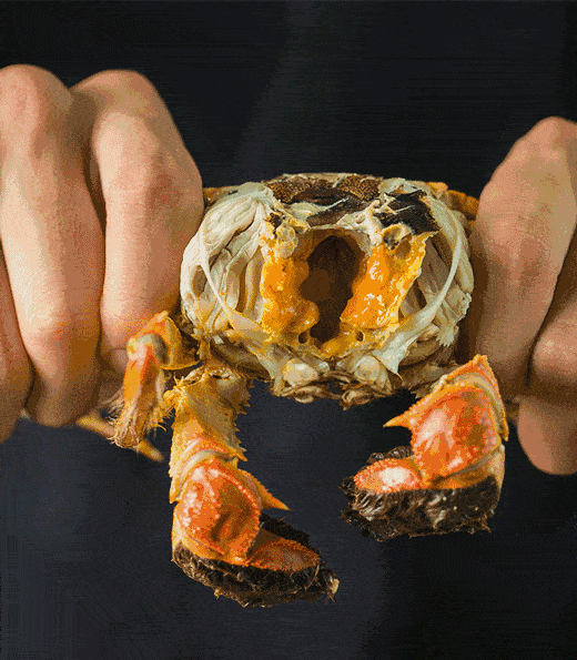吃完一只大闸蟹我就疯了_手机搜狐网