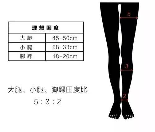 大腿围怎么测量图解图片