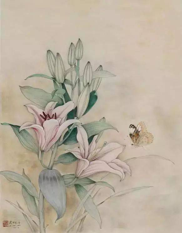 一组清新脱俗的百合花工笔画欣赏