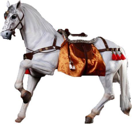 赵云之马,照夜玉狮子通体上下,一色雪白,没有半根杂色,浑身雪白,传说