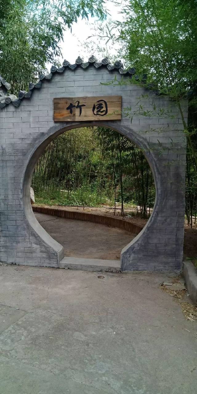 泉水,竹林,百雀欢舞,19.9元乐享百雀林生态观光园门票