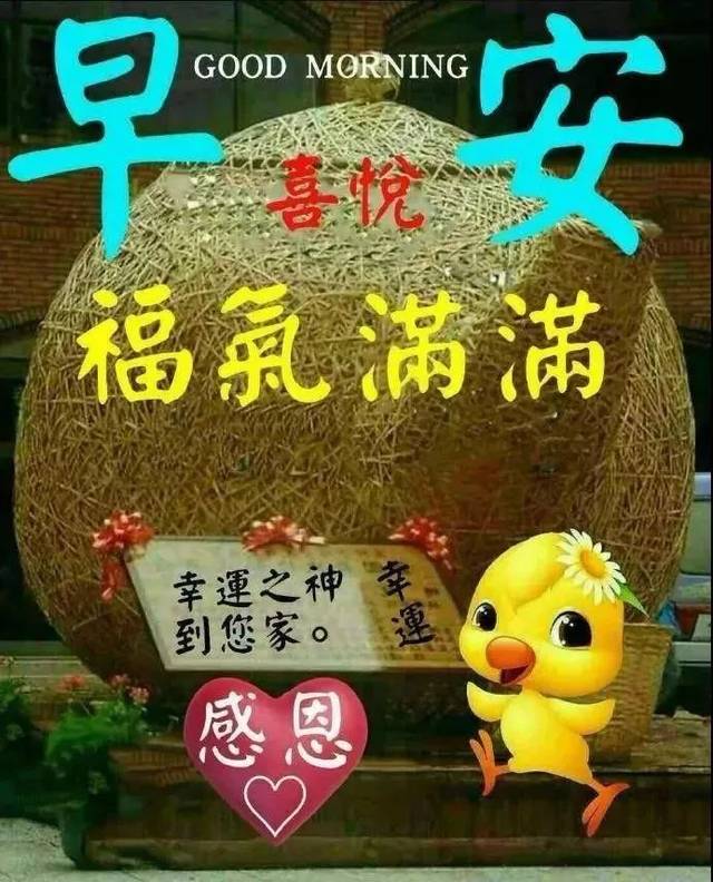 朋友圈问候大家早上好暖心祝福语短信句子