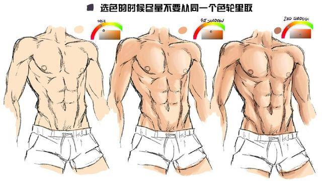 教你动漫男性肌肉的画法!