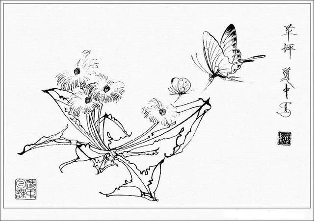 王道中｜白描花卉草虫画谱_中国