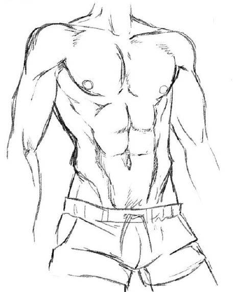 怎样画肌肉男的肌肉图片