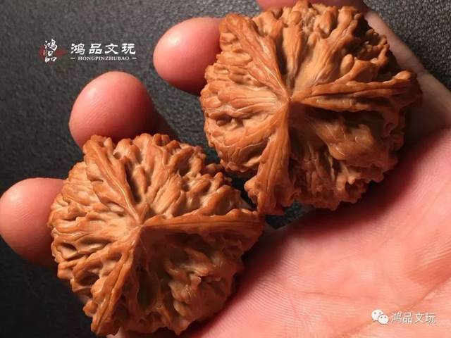 三棱的文玩核桃哪个品种好？看看这几对_搜狐网