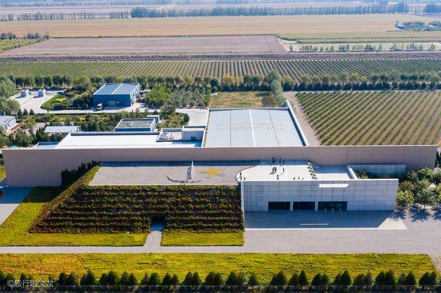 这次醉美宁夏旅游,无意间遇到了夏桐酒庄,在我游览了很多酒庄之后