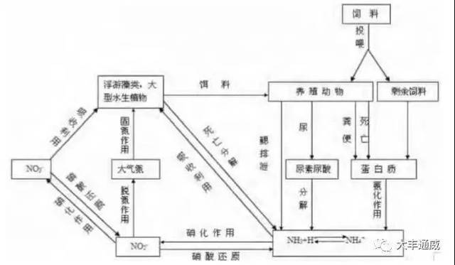 养殖亚硝酸超标处理