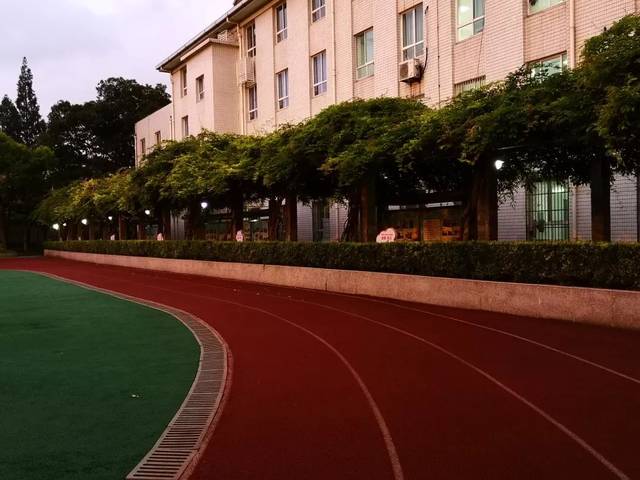 胡奕 上海市长青学校