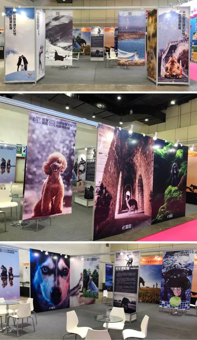 北京站丨给铲屎官准备的精品宠物摄影巡回展来啦!