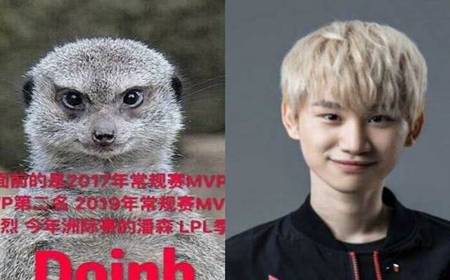 神似动物的5位lol选手,deft像羊驼还行,看到图5笑出猪叫_手机搜狐网