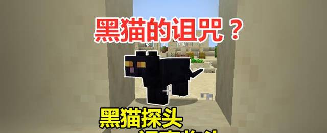 我的世界比掠夺者袭击更可怕的是黑猫对村庄的诅咒