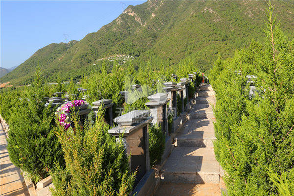 北京景仰园陵园,树葬墓地怎么样?_手机搜狐网