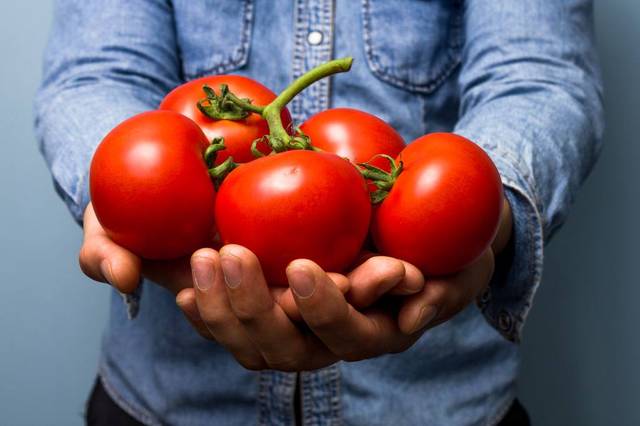 万物有趣 | 吃西红柿可"生精",不过你得每天吃两公斤
