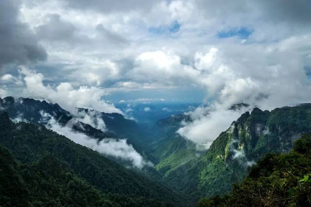 近年來,廣西大明山國家級自然保護區充分挖掘旅遊資源,先後推出了攬勝