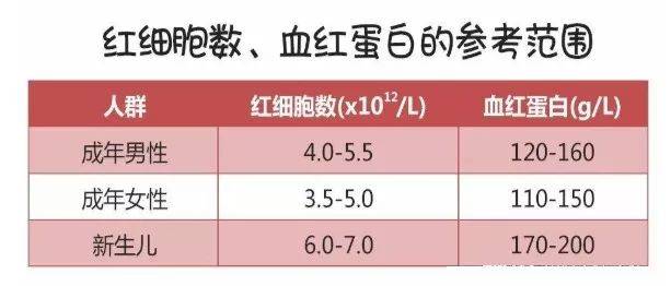 红细胞,白细胞,血小板,这些数值看得我头晕.