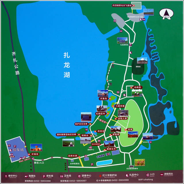 丹顶鹤的故乡——扎龙感怀