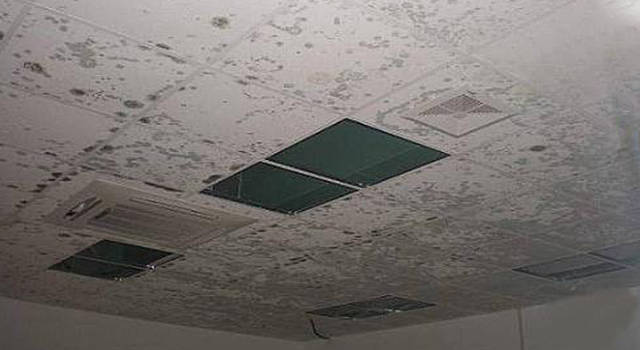 石膏板吊顶泛黄发霉怎么办? 原来还可以这么处理