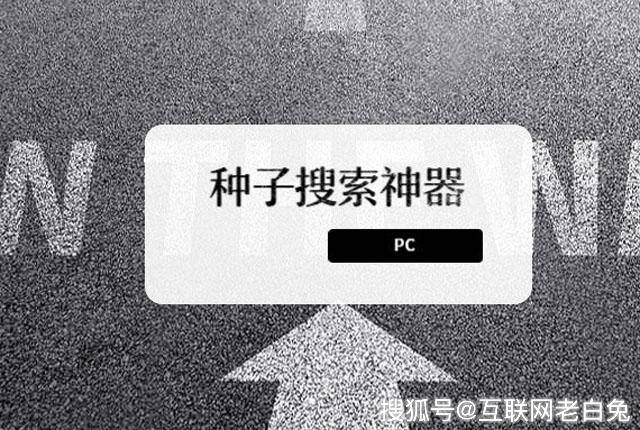 BT种子搜索