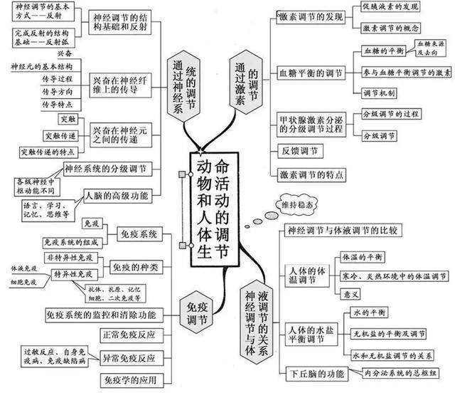 知識丨學霸推薦的中考生物20張思維導圖,你還沒有嗎?