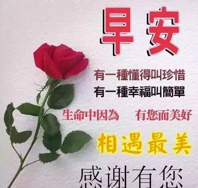 10月16日问候早上好图片带字动态表情早上好图片问候祝福语句子