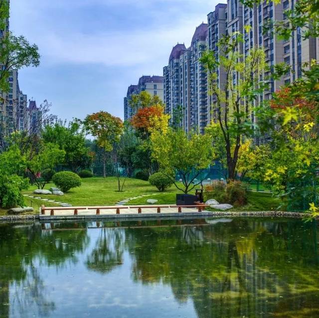 东成西就,蝶变腾飞,洞林湖片区利好频发,未来可期!